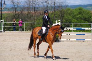 cavalier et cheval équipement équitation de concours