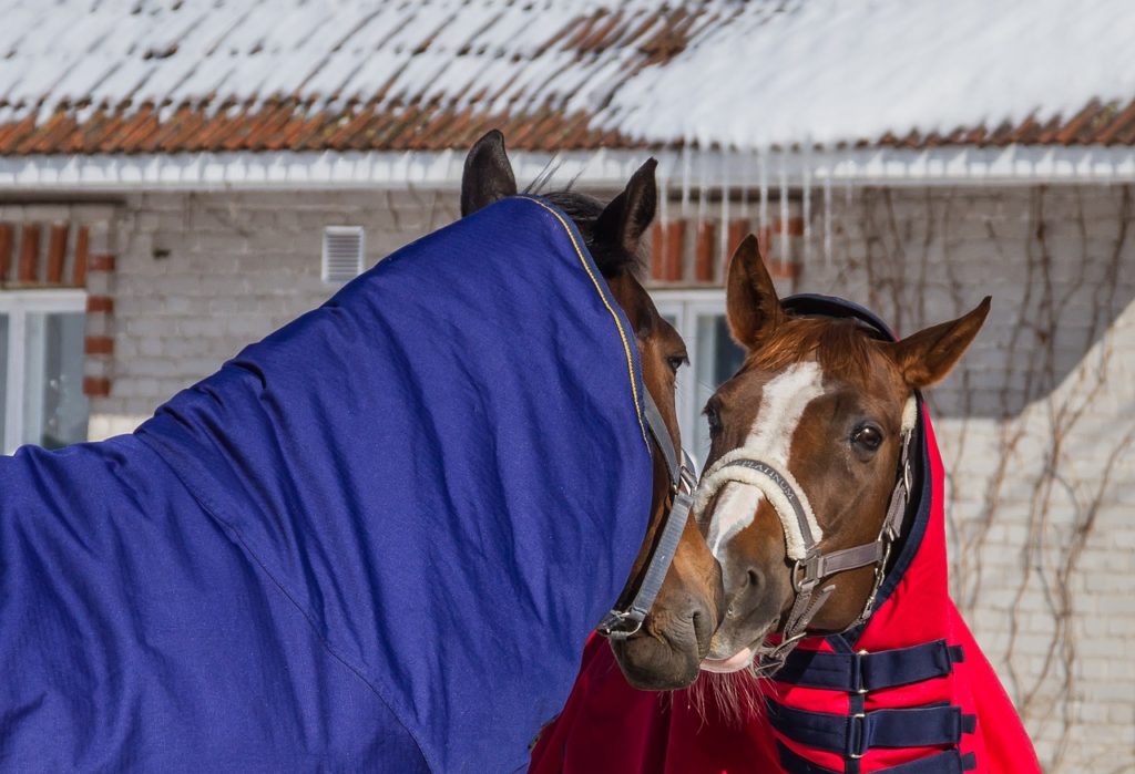 couverture cheval