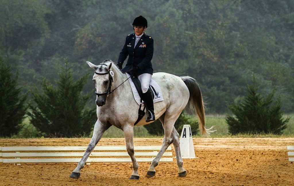 pantalon équitation blanc et veste bleu marine concours