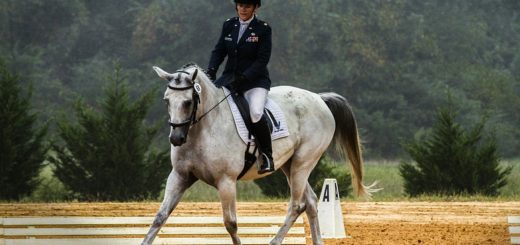 pantalon équitation blanc et veste bleu marine concours