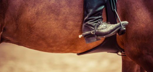 Bottes équitation : conseils utiles pour les choisir